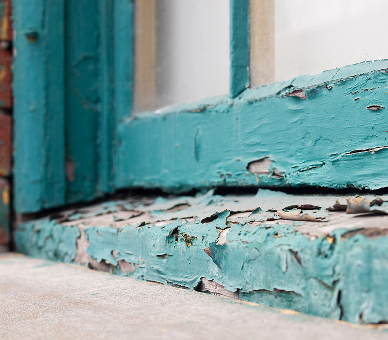 Lead-Based Paint & Home Renovations